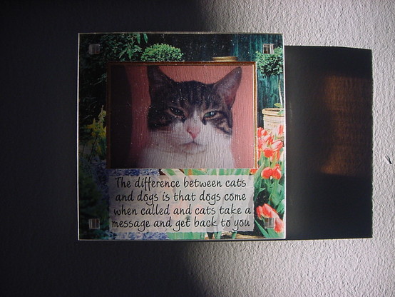 Small picture frame featuring a tabby cat.Frame features garden plants. Legend as per text in the lower half. Cat in the top half. Square shaped frame.