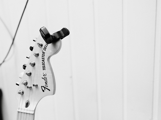 Retrato de una fender telecater