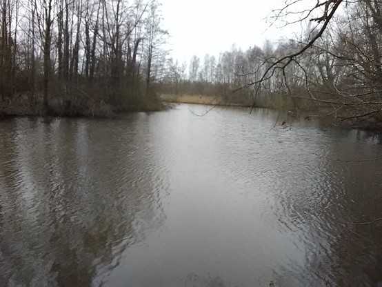 Water omzoomd door nog kale bomen. Grijze lucht.