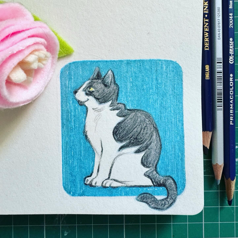 Cat sketch