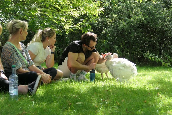 Besuchende Menschen lernen bei einer Führung durchs Land der Tiere die geretteten Puten Amelie, Anouschka, Luna & Cleo kennen. Sie sitzen auf einer grünen Wieso im Halbschatten umgeben von üppiger grüner Vegetation.