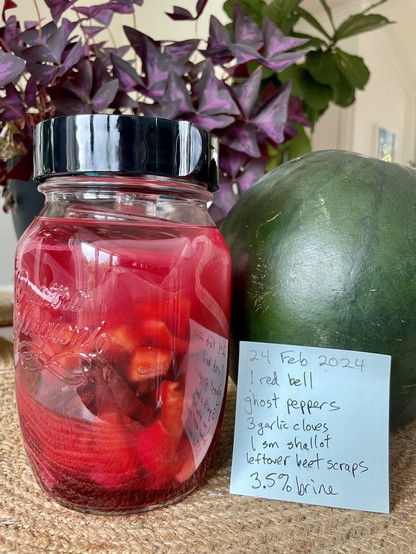 A fermentation jar with ghost chili peppers in them. A recipe is written on a piece of paper next to the jar. 