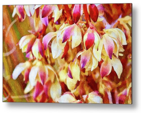 Joshua Tree Blossoms - watercolor
