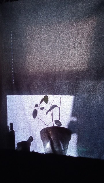 Sunlight shining through a dark blue curtain. You can see the shadow-shape of a flower pot with a small plant in it. There are many tones of blue.