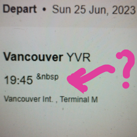 Screenshot (excerpt) of an airline flight itinerary showing the characters &nbsp rather than a nonbreaking space. The screenshot is annotated with pink marks to draw attention to the &nbsp characters.
