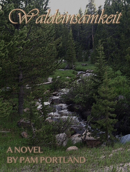 The cover of the book “Waldeinsamkeit” featuring a forest stream surrounded by evergreen trees 