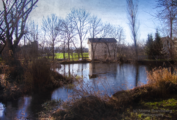 Switzerland Lake Zurich Old Mill Pond in winter, buy here:

https://www.pictorem.com/980962/Lake%20Zurich%20Old%20Mill%20Pond.html