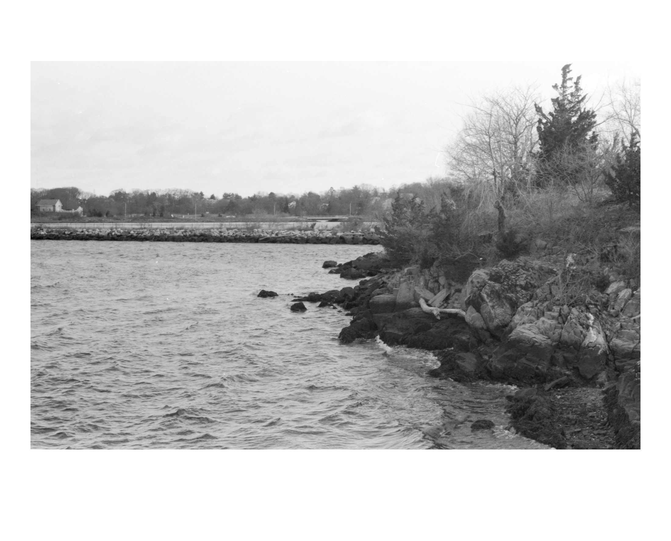 rocky shoreline in black and white