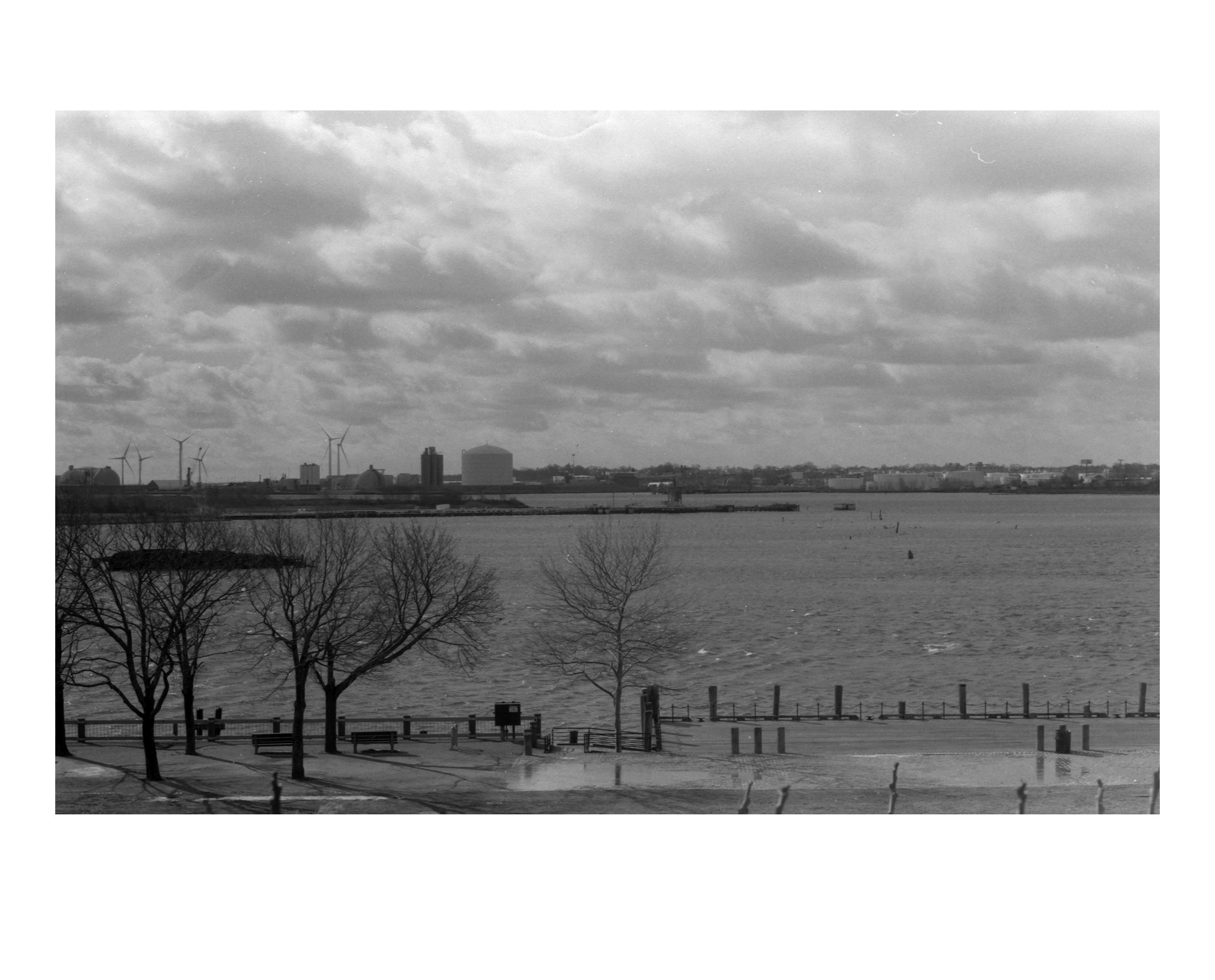 looking out over the water with the park in the foreground