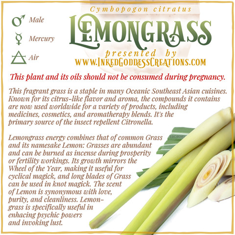 A graphic about Lemongrass featuring a photo of the plant, from Inked Goddess Creations.