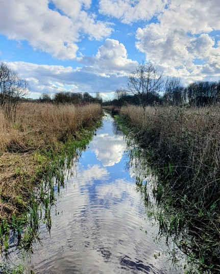 A flooded path, reflecting the clouds and blue sky, leads off into the distance