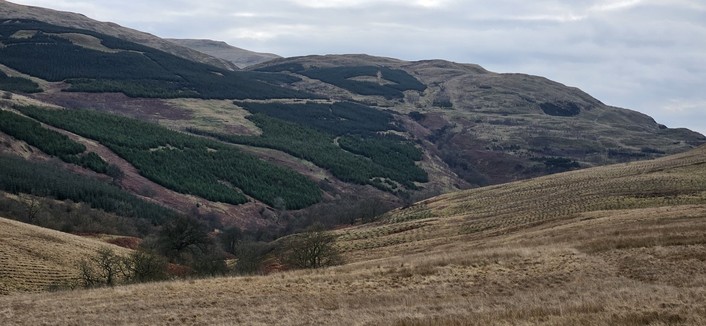 Menstrie Valley, Ochil Hills