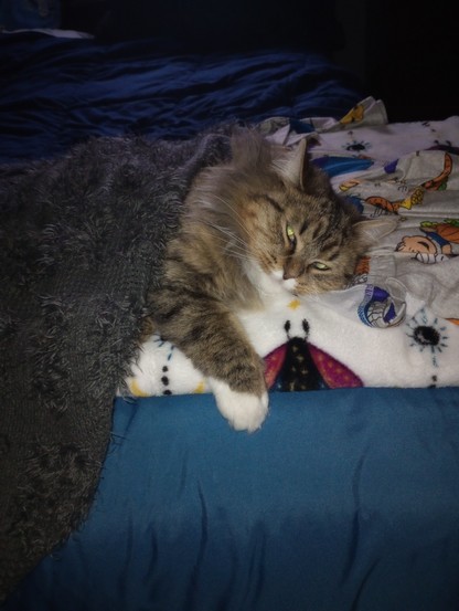My cat, Mama Circe. Snuggled up and listening to Dontcha Know. She's our biggest fan.