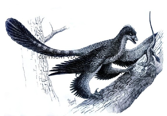 A drawing of a tiny chicken-like dinosaur going after a lizard up in a tree.