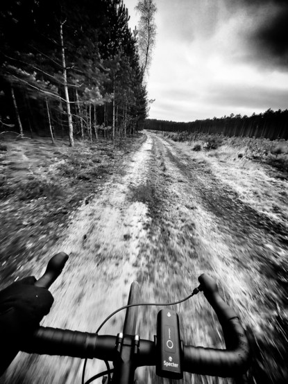 Zdjęcie wykonane przez jadącego rowerem. Widok na leśną, piaszczystą drogę. Po lewej stronie drogi sosnowy las, po prawej młodnik. 