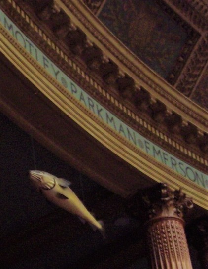 The Sacred Cod "aerially swimming" above the House of Representatives visitors' gallery (formerly the Ladies' Gallery) in 2013.