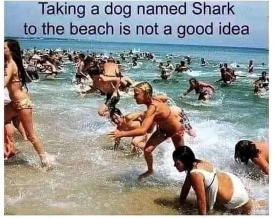 Image of beachgoers running in panic away from the water.
Caption - Taking a dog named "Shark" to the beach is not a good idea