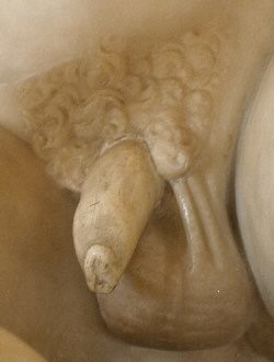 Close-up of the crotch of a Gaul. His phallus is thick in flaccid state and he doesn't have a long, tapered foreskin, a Graeco-Roman beauty ideal.
