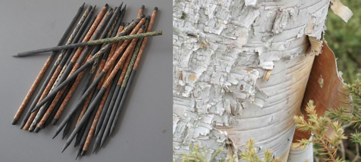 Schiefer als STIFT
GIBT ES..
Credit Zeitblick  CC3.0

Birken Handout
Nächster Baum
Credit Sweeney CC3.0