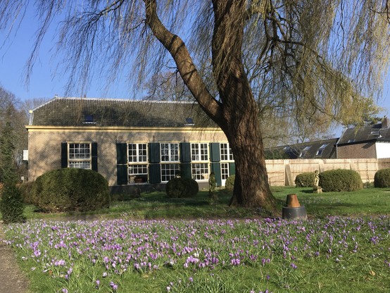 Krokussen in het gras op de voorgrond, onder de uitbottende wilg, de orangerie op de achtergrond.
