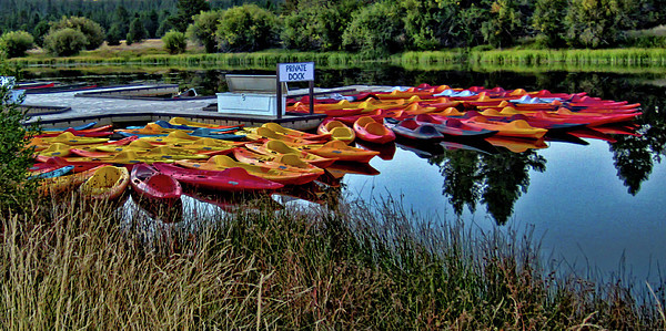 Kayaks! Purchase prints and more here: https://1-thom-zehrfeld.pixels.com/featured/kayaks-thom-zehrfeld.html #Art #ThomZehrfeldPhotography #PhotographyIsArt #Photography #Fotografie
#ArtForSale #ArtMatters #MastoArt #Mastodon #ArtforInteriorDesign #HospitalityInteriors 
#InteriorDesign #Wallart #InteriorDecorating #WallArtForSale #PhotoOfTheDay #FediGiftShop  #GiftIdeas #FediArt #Prints #FediArtShop #Colorful #Nature #kayaker #Kayak #Kayaks #kayakingislove #naturephotography #kayaklifestyle #Lake #Water #Trees #Grass #Green 
