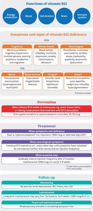 An informative graphic on the functions, deficiency symptoms, prevention, treatment, and follow-up for vitamin B12. It outlines the roles of B12 in energy production, blood, cell division, brain function, and immune system. It lists cognitive, mental, and neurological symptoms and symptoms involving blood, bone marrow, tongue and other things.