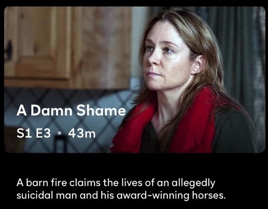 A woman appears concerned or upset, with a text overlay about a TV show episode titled "A Damn Shame" involving a barn fire incident.