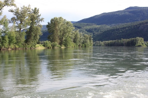 Looking down a tree lined river toward the hills in the distance.