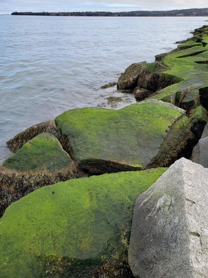 In foreground huge rectangular quarried granite blocks tumbled against breakwater with the blocks closest to the sea covered in mossy green fungus. In distance the thin line of land crosses beneath a gray sky bordering between it and the shining steel of the calm harbor