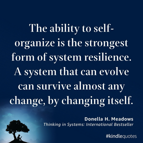 The ability to self-organize is the strongest form of system resilience. A system that can evolve can survive almost any change, by changing itself.