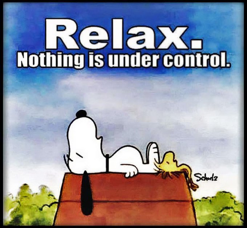 Snoopy, a white beagle dog from Charles M. Schulz's comic strip Peanuts, is lying down. Above him, the text says, "Relax. Nothing is under control."