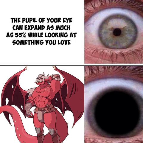 The pupil of your eye can expand asmuch as 55% while looking at something you love
