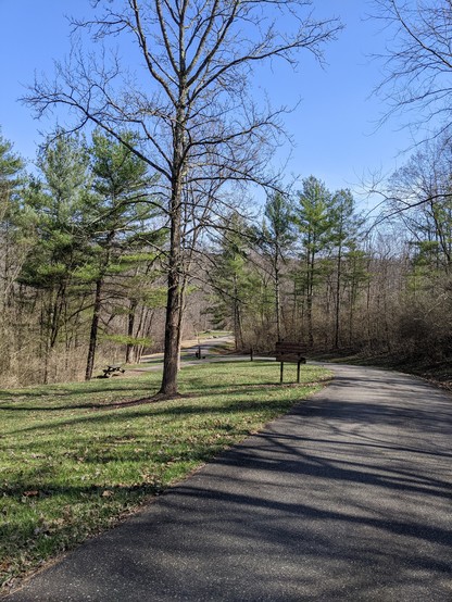 Photo of the start of our walking trail. Concrete path leading down to the path we took with trees surrounding the path. 