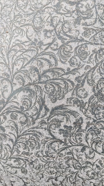 leaf patterns on a dusty car window, close-up