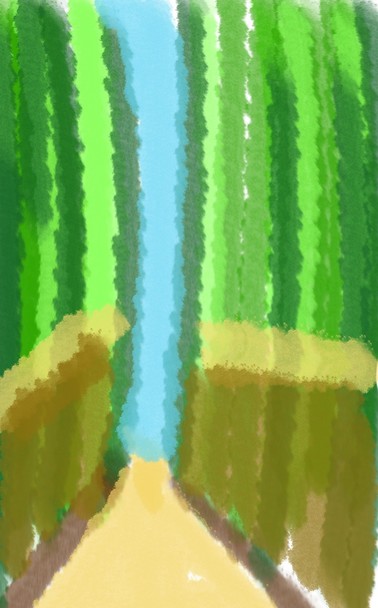 Arayshima Bamboo Forest in Kyoto