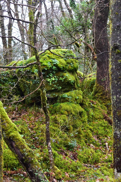 Mossy granite face