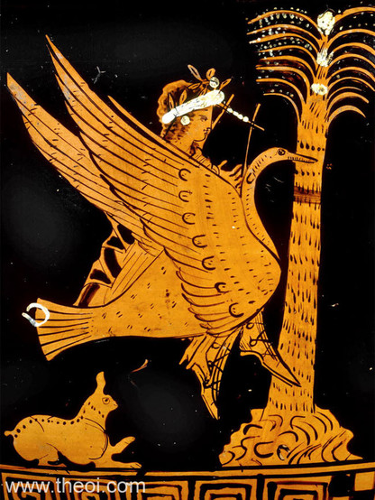 Red-figure vase painting of the god Apollon riding a large swan. Apollon holds a lyre and is wearing laurels and a ribbon in his long hair. His feet are adorned with boots.