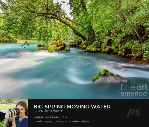 In honor of St. Patrick's Day, here's a green scene at Big Spring in Van Buren, Missouri. It's the largest natural spring in the US and it's beautiful emerald blue green colors of the water are stunning.
https://5-jennifer-white.pixels.com/featured/big-spring-moving-water-jennifer-white.html
#photography #stpatricksday2024 #wallart #fineart