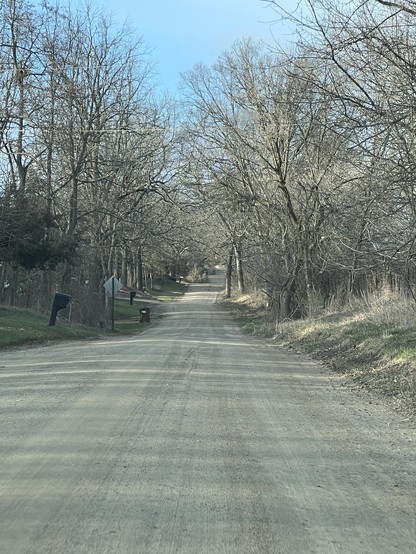 Looking down a dirt road on our way home from euchre. The trees that ring the road are still leafless, but green grass is starting to show on the sides of the road.