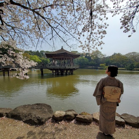 A sunny spring day at Sagi-ike.