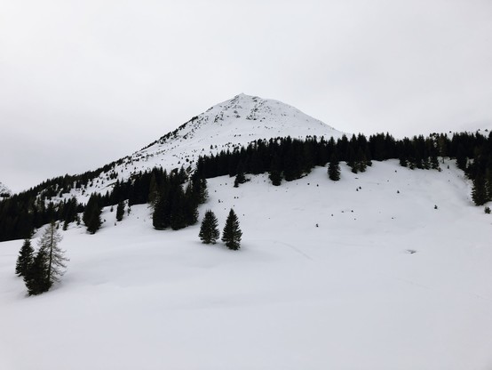 An open space in the mountain with the summit of Mt. Kleiner Kornigl - Monte Cornicolo (2311 m) in the background. Only the trees are not covered by snow