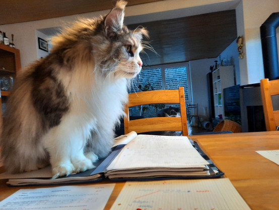 new proofreader