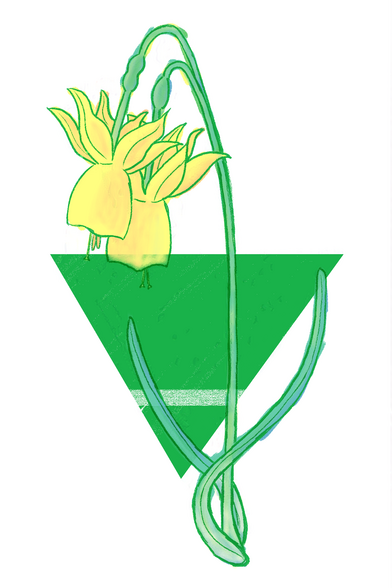 Ilustración a línea verde y mancha a color de un narciso (flor). Detrás, aparece un triángulo equilátero verde apuntando con su vértice hacia abajo atravesado por una línea blanca cerca de su vértice.