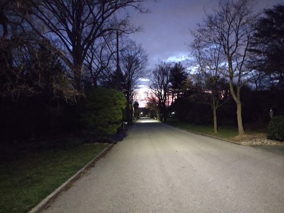 Photo: Looking down a deserted road toward the lightening dawn sky. There are mostly bare trees on either side of the street.