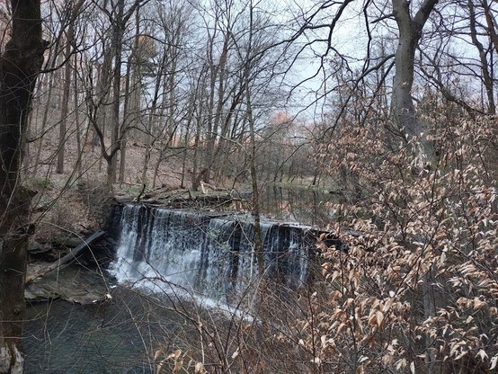 Photo: Waterfall at the mouth of Dove Lake, on Mill Creek, Pennsylvania. The trees are bare.