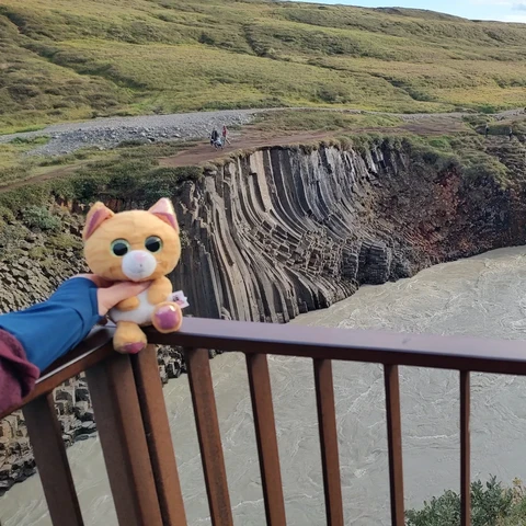 A canyon with columnar joints in Iceland. Presented by ginger tomcat Simba