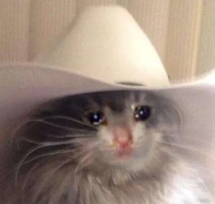 crying cat in cowboy hat meme