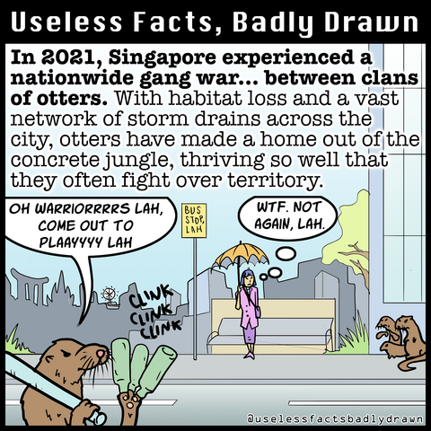 In 2021, Singapore experienced a nationwide gang war... between clans of otters. With habitat loss and a vast network of storm drains across the city, otters have made a home out of the concrete jungle, thriving so well that they often fight over territory.