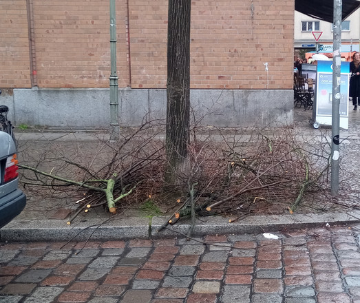 Astschnitt auf dem Boden
