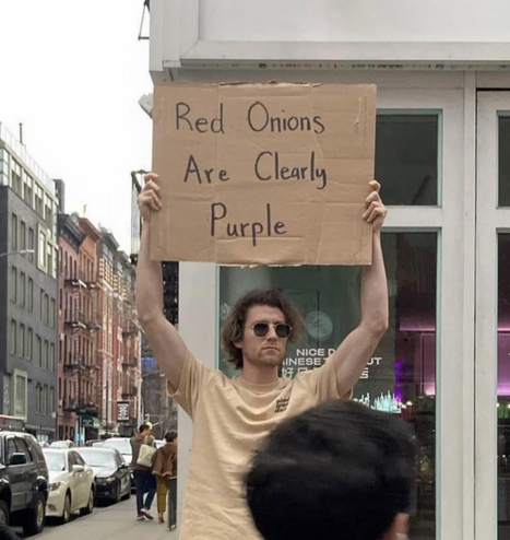 A photo of a man on a street holding up a cardboard sign. It says red onions are clearly purple 